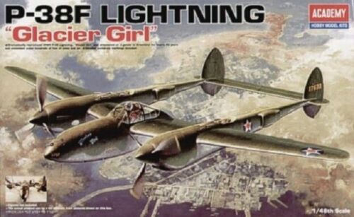 P38F Glacier Girl WWII Fighter