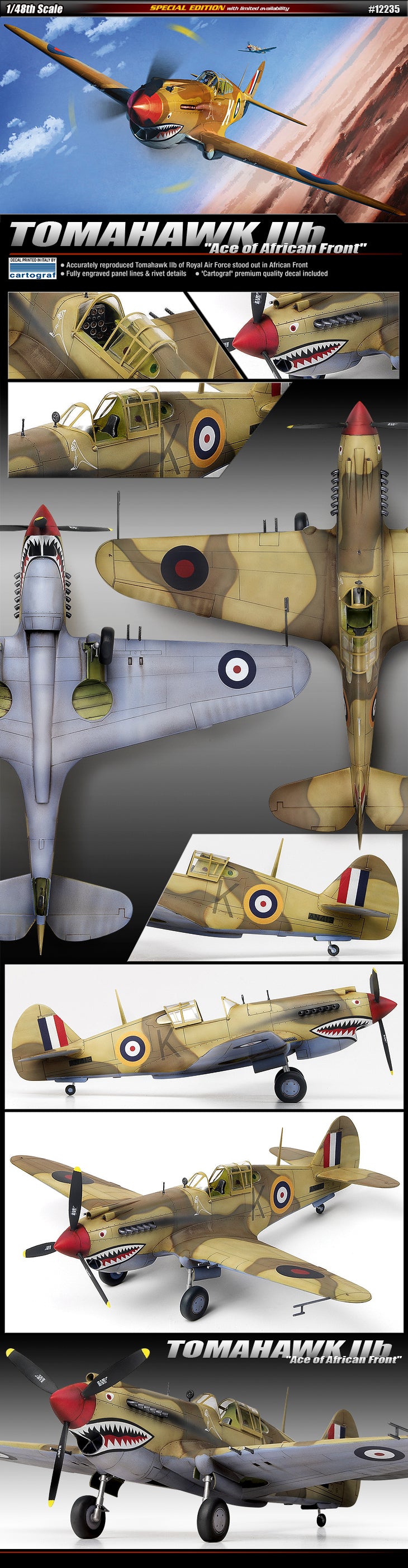 Curtiss RAF Tomahawk Mk. IIb "Ace Of African Front" Kit