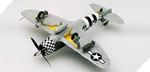 Republic P-47d Thunderbolt Eileen