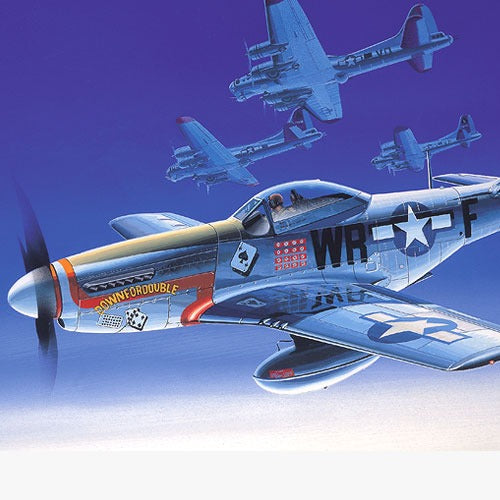 The Fighter of World War II P-51D