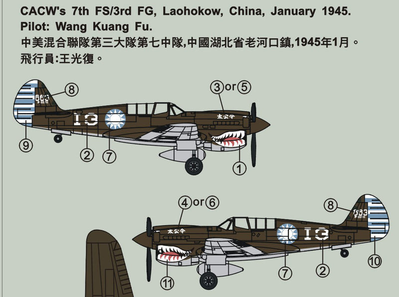 CACW P40-N 14th Air Force 1:14