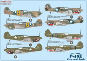 P-40E Warhawk  'Claws and Teeth'   1/72