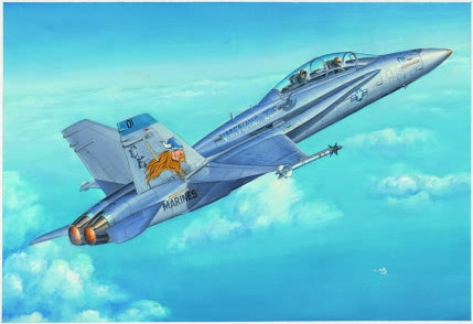 F/A-18D HORNET