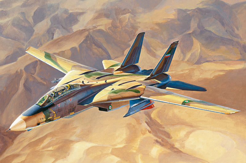 PERSIAN CAT F-14A   TOMCAT - IRIAF