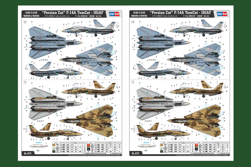 PERSIAN CAT F-14A   TOMCAT - IRIAF