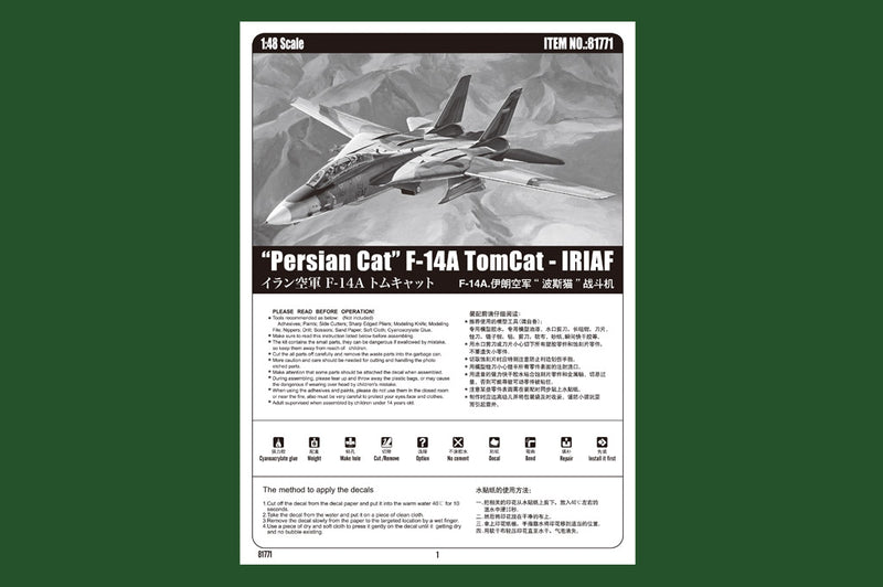 PERSIAN CAT F-14A   TOMCAT - IRIAF