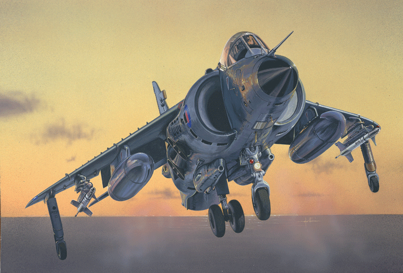 SEA HARRIER FRS.1