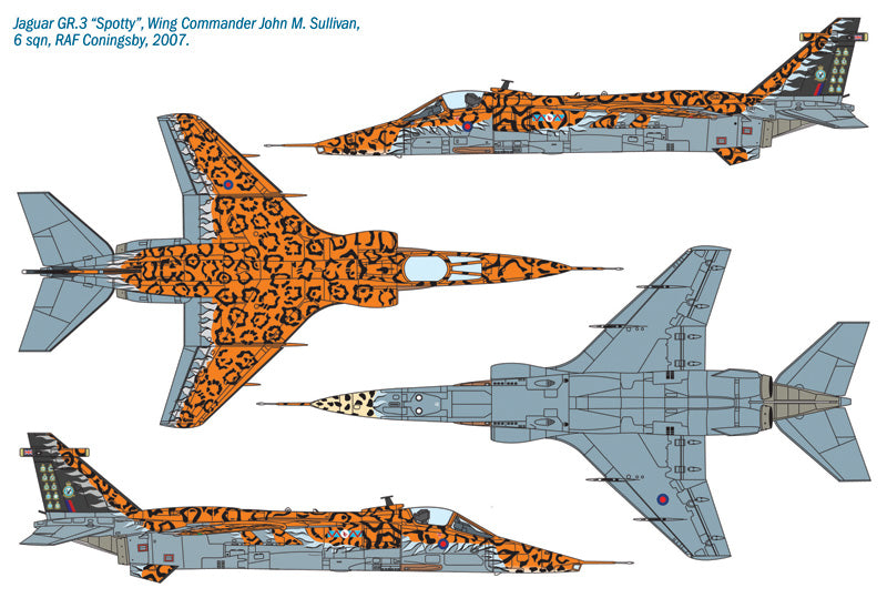 JAGUAR GR.3 "BIG CAT" SPECIAL COLORS