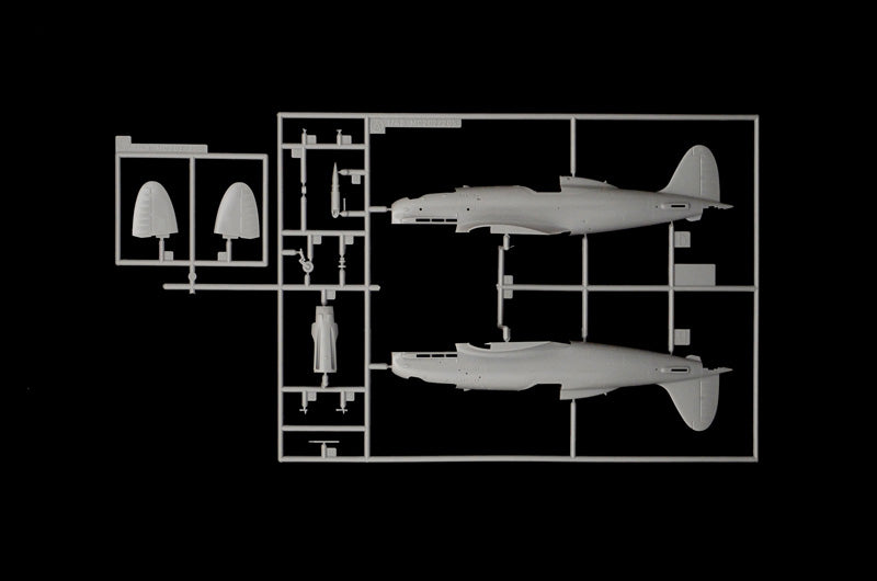 MACCHI MC.205 VELTRO