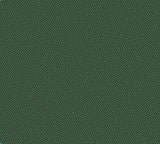 TS-2 Dark Green, 100ml Spray Lacquer Paint