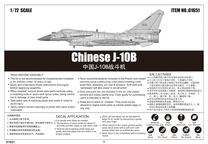 CHINESE J-10B       FIGHTER