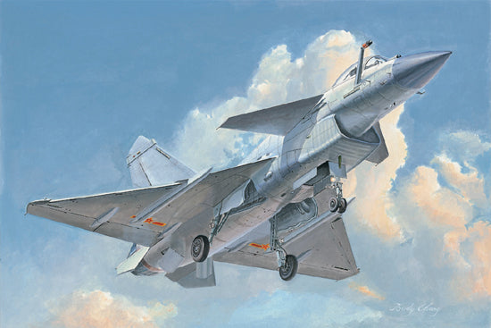 PLAAF J-10B Vigorous Dragon