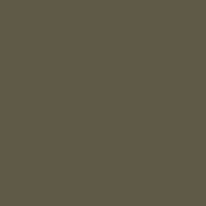 US Olive Drab