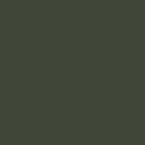 Olive Green RLM80