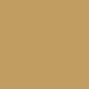 Dark Yellow Ochre