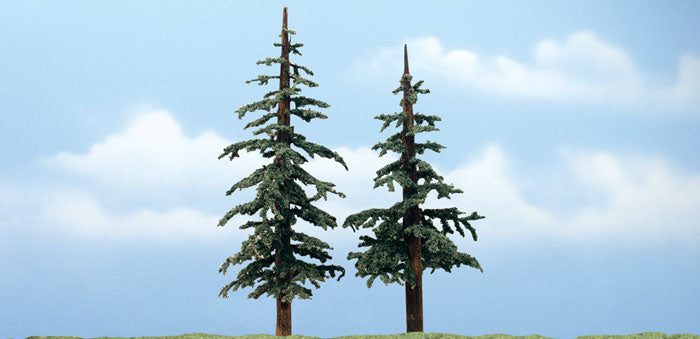 6" - 5" PREM LODGEPOLE 2/PK