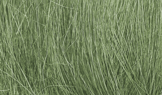 MEDIUM GREEN FIELD GRASS