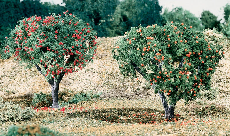 FRUIT APPLES AND ORANGES