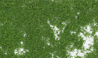 MEDIUM GREEN FOLIAGE